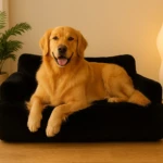 Sofá negro para mascotas con relleno de alta densidad, mostrando perro dorado recostado en posición frontal sobre superficie acolchada.