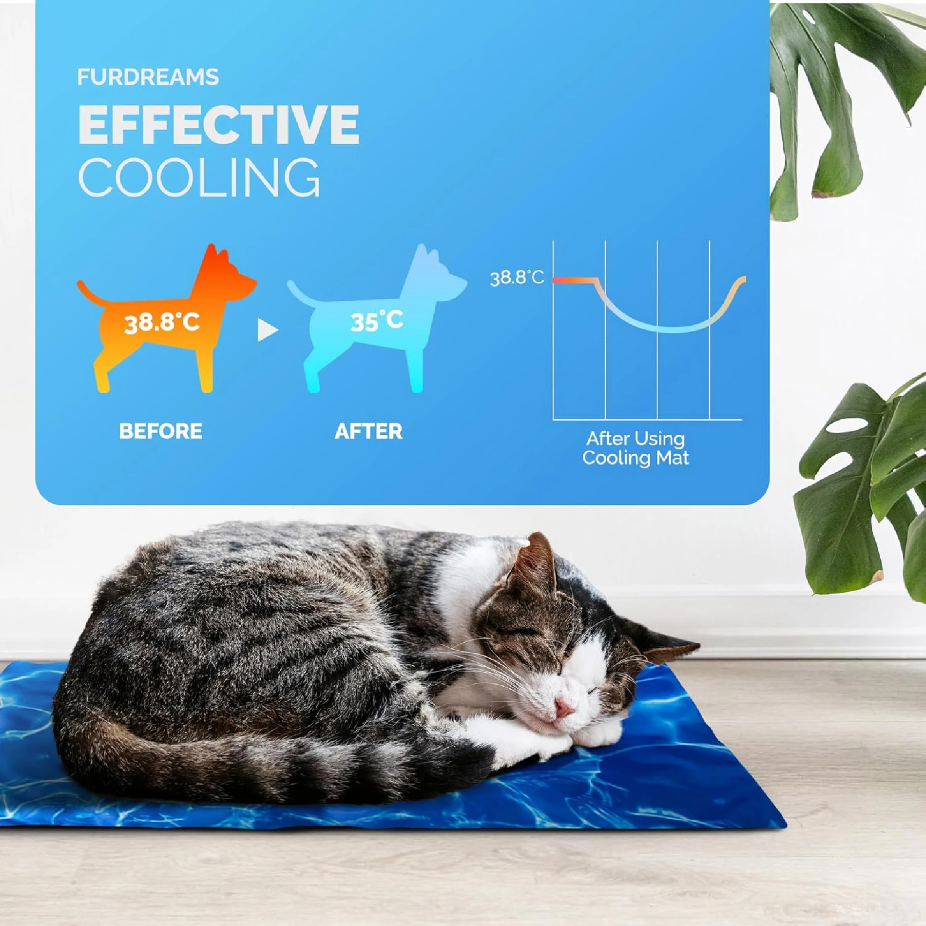 Tapete de gel frío azul con gato durmiendo encima. Incluye que muestra reducción de temperatura de 38,8°C a 35°C tras uso.