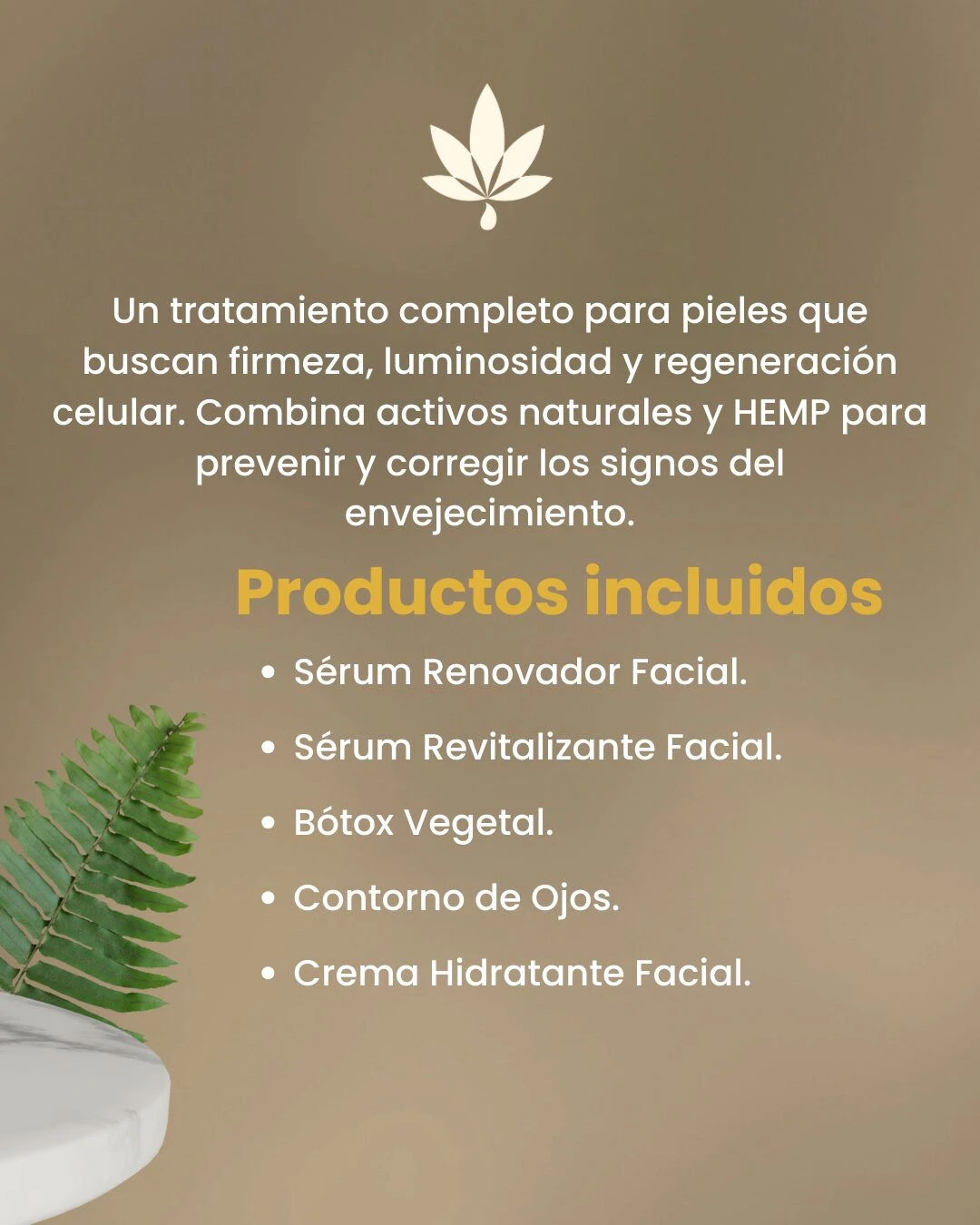 Kit antiedad con HEMP: lista de productos incluidos como sérum renovador, revitalizante, bótox vegetal, contorno de ojos y crema hidratante, sobre fondo beige con hoja verde decorativa.