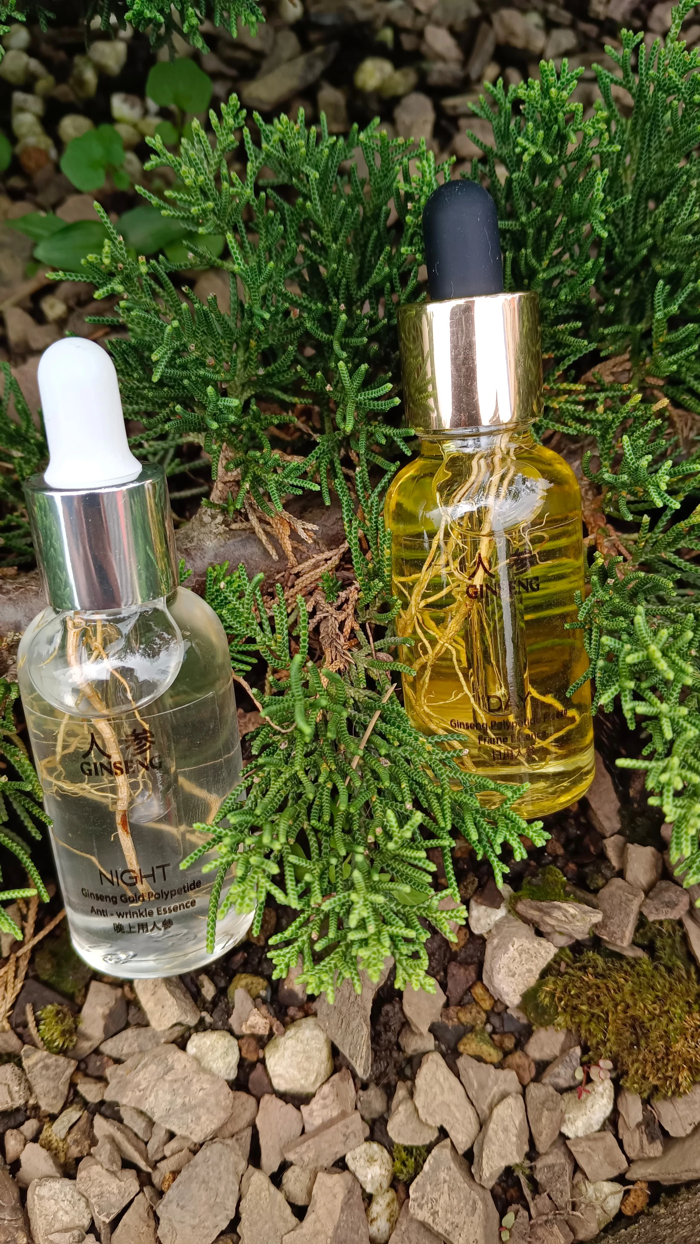 Dos frascos de sérum con gotero, uno transparente y otro ámbar, con extracto de raíz de ginseng visible, sobre musgo y piedras.