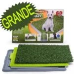 Tapete de Entrenamiento para Perro Grande con Césped Real - Facilita el aprendizaje de higiene en interiores