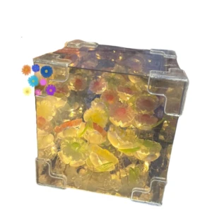 Cubo transparente con girasoles amarillos flotantes, luces LED cálidas y efecto espejo interior.