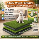 Bandeja de Entrenamiento para Perros con Césped Artificial - Elimina Olores y Mantiene el Suelo Seco