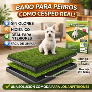 Bandeja de entrenamiento para perros con césped artificial verde, capa superior removible y bandeja anti-fugas negra; perro blanco sentado encima, en interior luminoso.