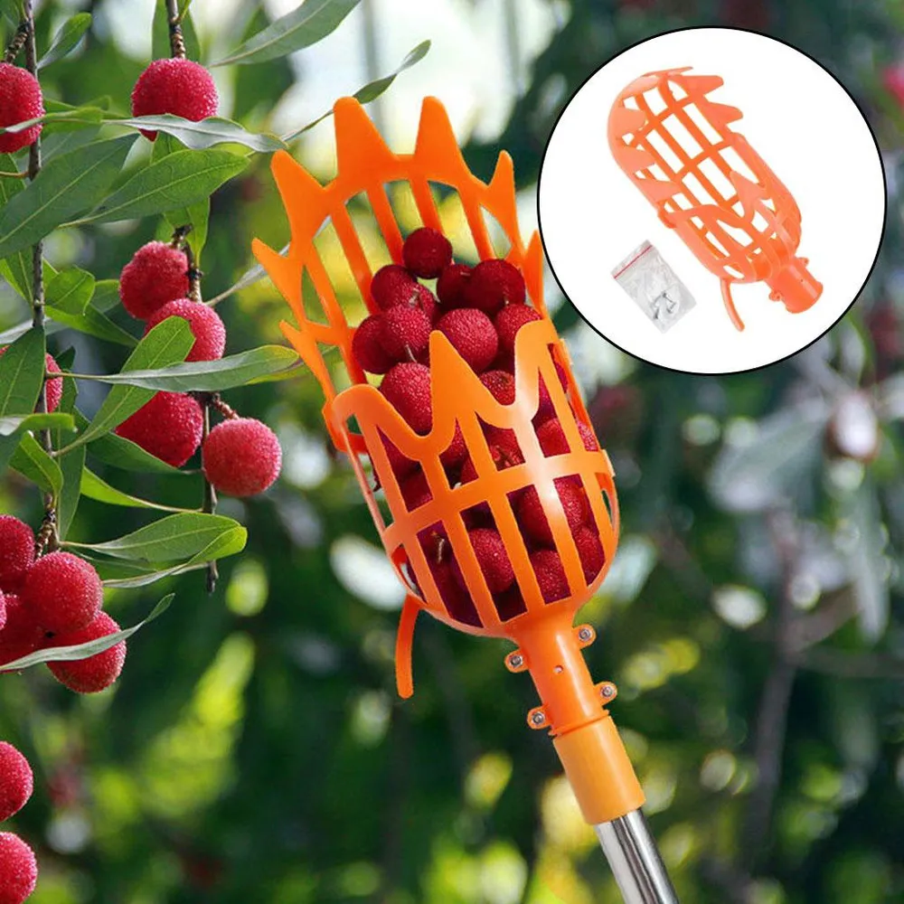 Herramienta para Recoger Fruta Pequeña
