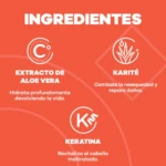 Mascarilla Ancestral 350Ml Poción