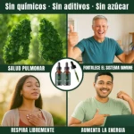 Gotas de Gordolobo y Clorofila para Pulmones - Despeja vías respiratorias y flemas