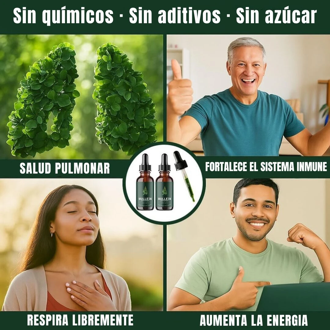 Gotas de Gordolobo y Clorofila para Pulmones - Despeja vías respiratorias y flemas
