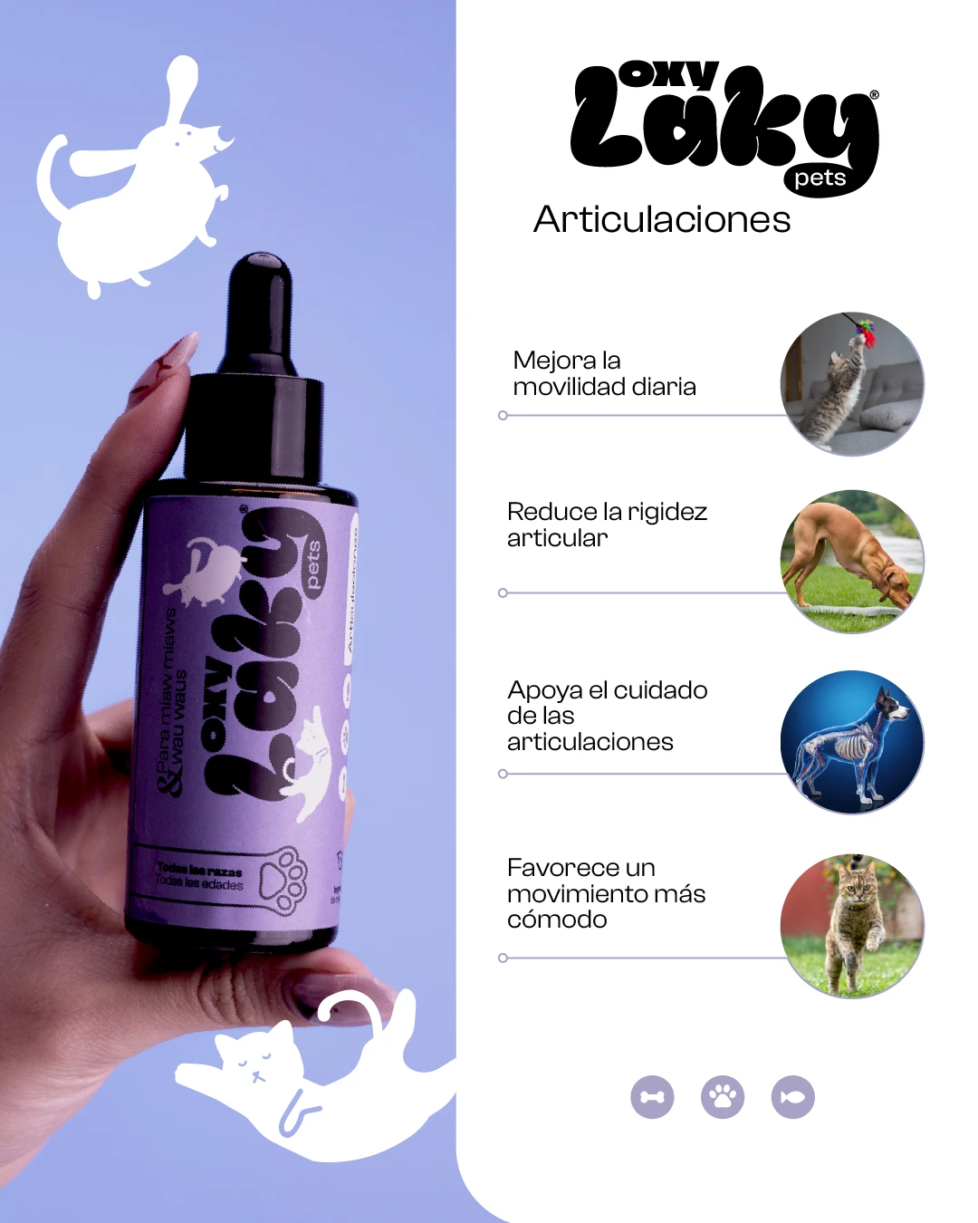 Bote de Oxylaky Pets para articulaciones, color morado con gotero, sostenido en mano. Incluye ilustraciones de animales y beneficios como movilidad y flexibilidad articular.