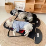 Silla Mecedora para Perros con Cinturón de Seguridad - Ofrece descanso tranquilo y seguro a tu mascota