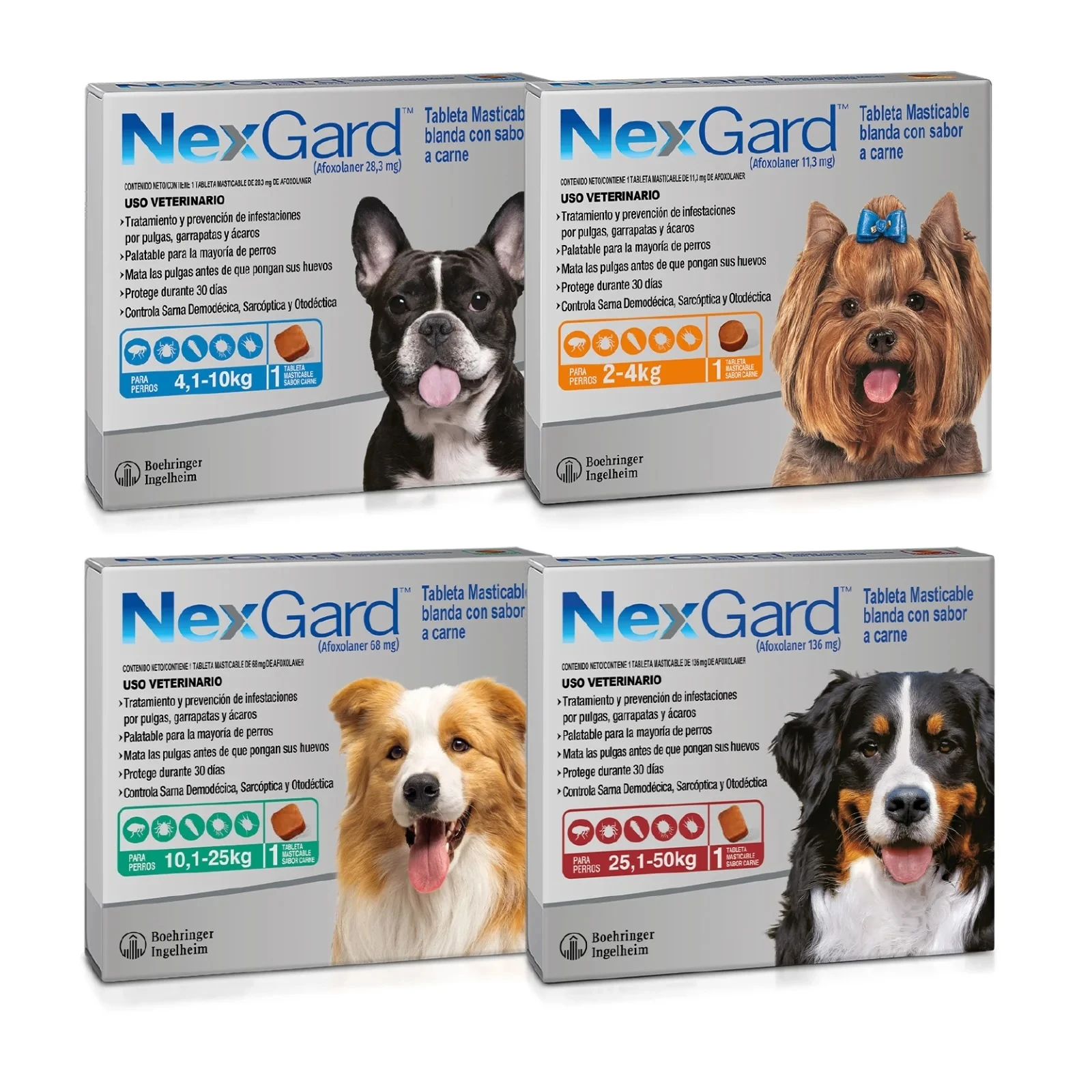 Cuatro cajas de Nexgard para perros, mostrando variantes por peso: 4,1-10 kg, 10,1-25 kg y 25,1-50 kg. Cada caja incluye de perro correspondiente y dos tabletas masticables visibles en la parte frontal.