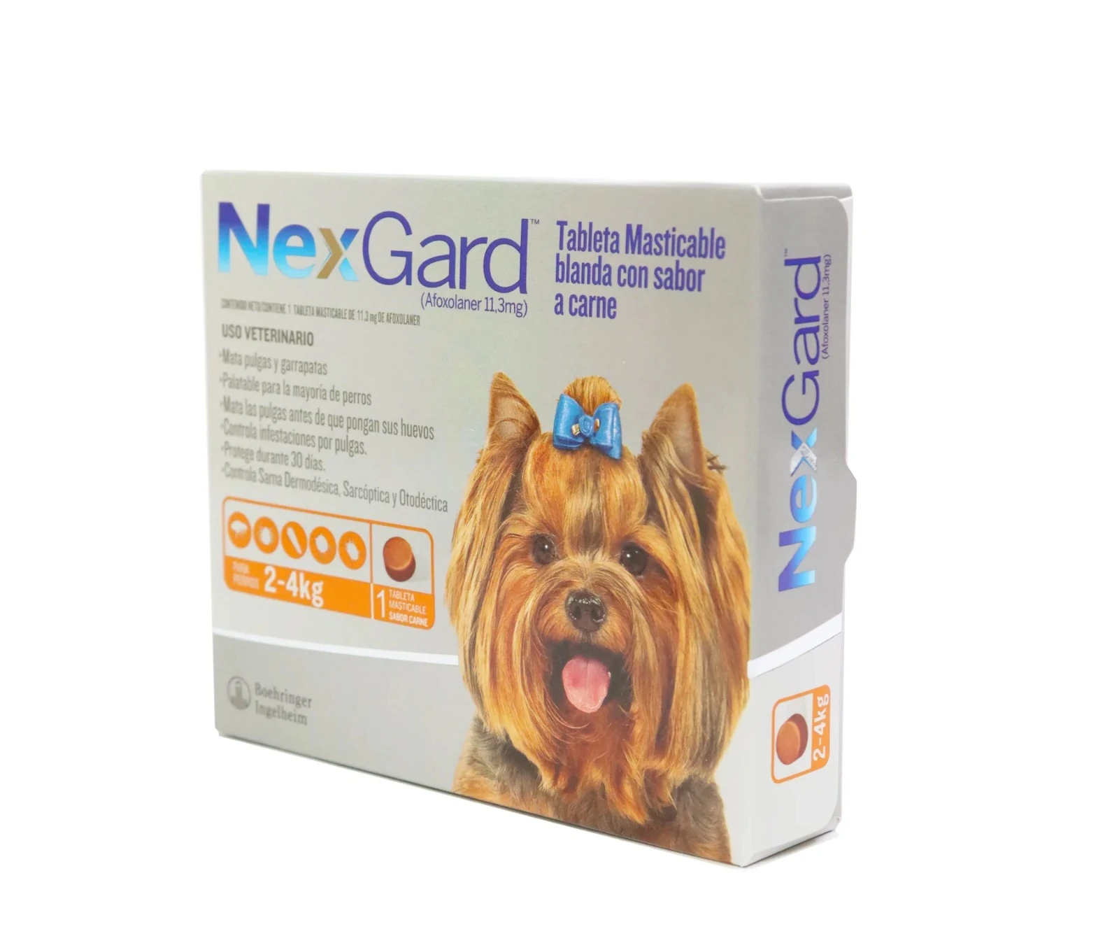 Caja de Nexgard para perros de 2 a 4 kg, con sabor a carne, mostrando una perrita Yorkshire con moño azul. Incluye 1 tableta masticable.