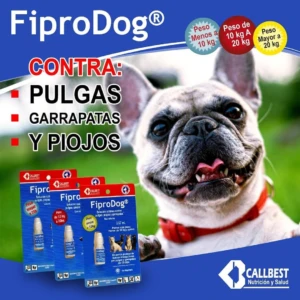 Paquete de FiproDog para perros y gatos, con protección de 30 días contra pulgas, garrapatas y piojos. Incluye dos presentaciones: una para perros de menos de 10 kg y otra para perros de más de 10 kg. El producto se muestra en su empaque original, con ilustraciones de perros y gatos, y texto informativo en español.