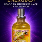 Pajaro Macua - Imagen 2