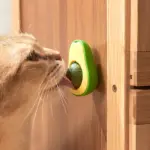 Gato lamiendo dispensador de hierba en forma de aguacate verde con centro marrón, montado en puerta de madera clara.