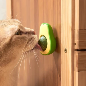 Catnip Aguacate Hierba Gatos Set X 3
