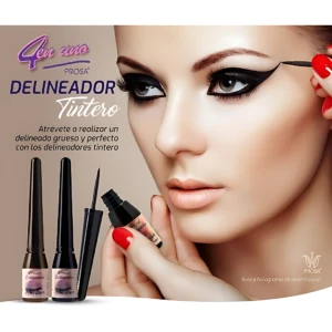 Delineador Tintero Negro Dropshippers