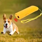Entrenador Canino Ultrasonido con Luz y Pila 9V - Disuade ladridos excesivos y controla mascotas sin contacto físico - Imagen 3