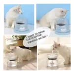 Gato blanco bebiendo de fuente de agua automática con flujo continuo, diseño cilíndrico transparente y base azul claro, en cuatro escenas mostrando uso y preferencia del animal por agua fresca.