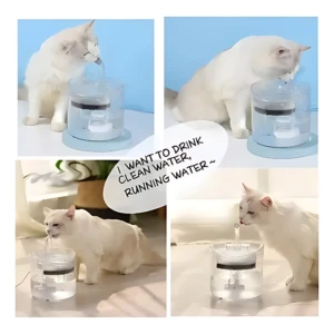 Gato blanco bebiendo de fuente de agua automática con flujo continuo, diseño cilíndrico transparente y base azul claro, en cuatro escenas mostrando uso y preferencia del animal por agua fresca.