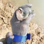 Guante de malla de acero inoxidable con hebilla azul, usado sosteniendo un pez cerca de orilla de río.
