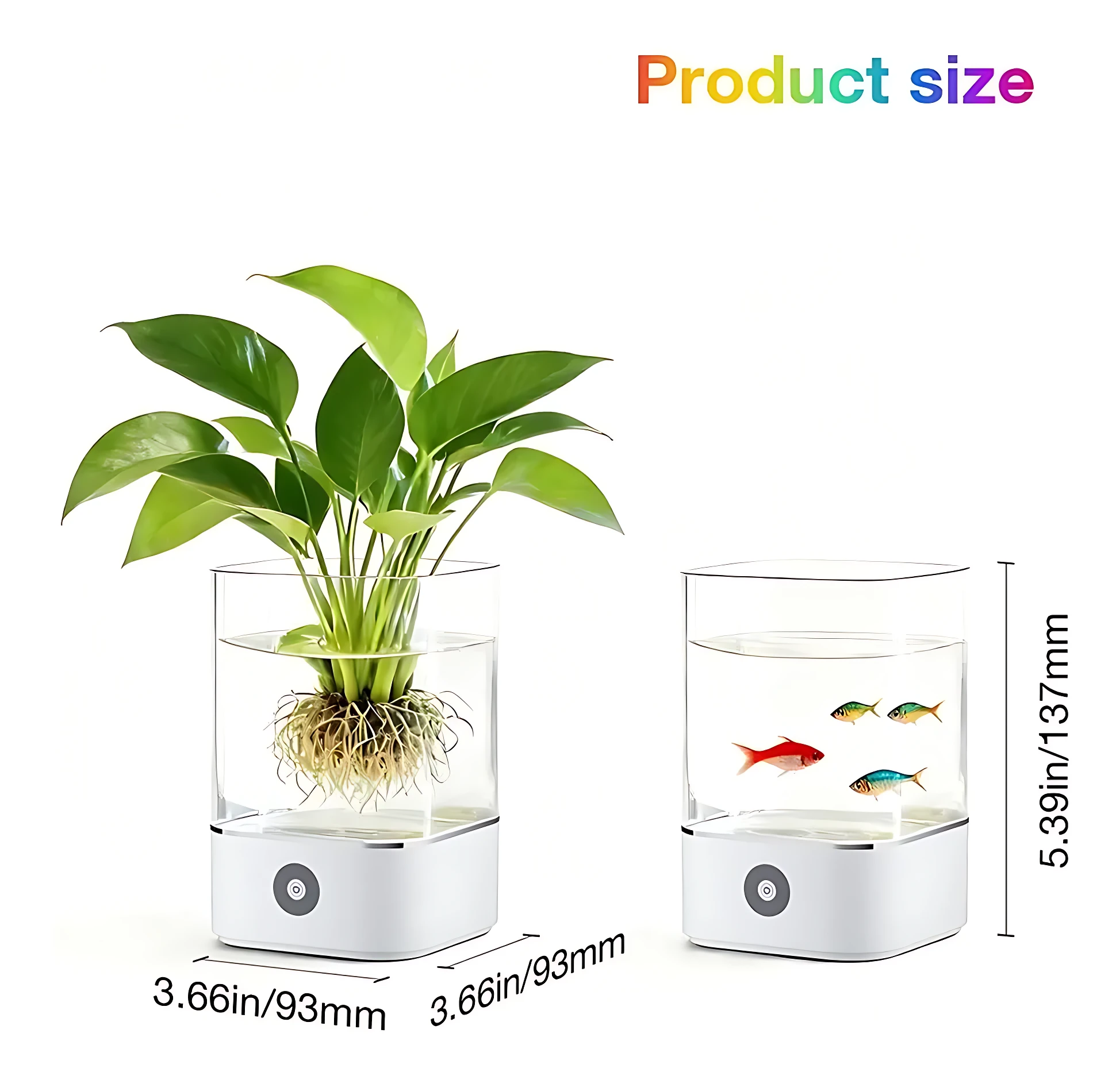 Dos recipientes de vidrio con base blanca: uno con planta hidropónica y otro como acuario con peces, ambos de 5.39 pulgadas de alto y 3.66 pulgadas de ancho.