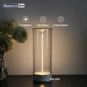 Lámpara de pie MamoxFor con cilindro de vidrio transparente, base gris y luz vertical ajustable por interruptor táctil, acompañada de ramo de rosas en jarrón a la izquierda.