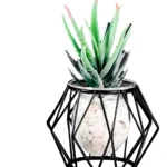 Macetero Geométrico Metálico con Vidrio - Adorna espacios modernos con diseño minimalista - Imagen 3