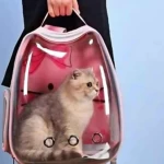 Mochila transparente con gato gris dentro, asa superior y ventilación lateral, ideal para transporte seguro de mascotas.