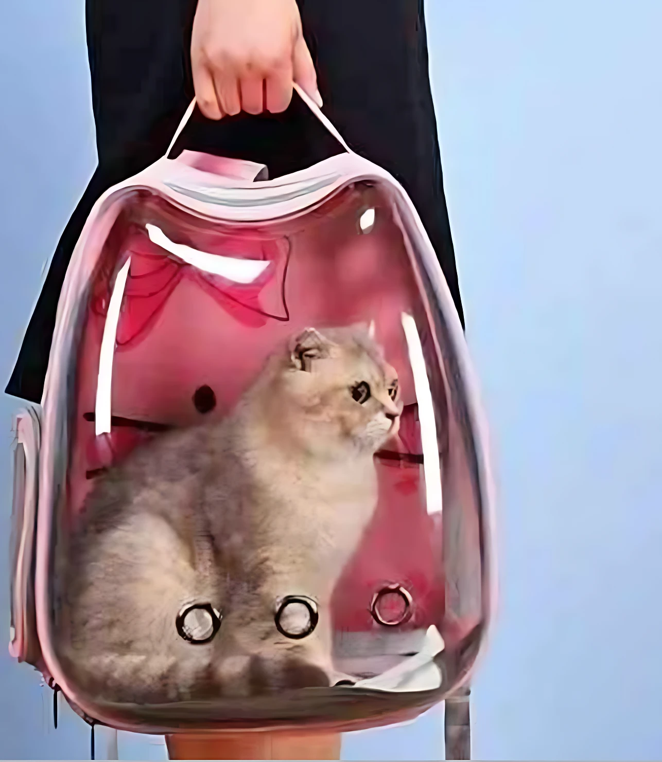 Mochila transparente con gato gris dentro, asa superior y ventilación lateral, ideal para transporte seguro de mascotas.