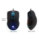 Mouse gaming negro ergonómico con iluminación RGB multicolor, mostrando vista frontal y lateral con medidas de 12,5 cm de alto y 7 cm de ancho.