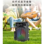 Parlante 8 pulgadas inalámbrico con micrófono - Llena tu espacio con audio potente y claro para eventos - Imagen 2
