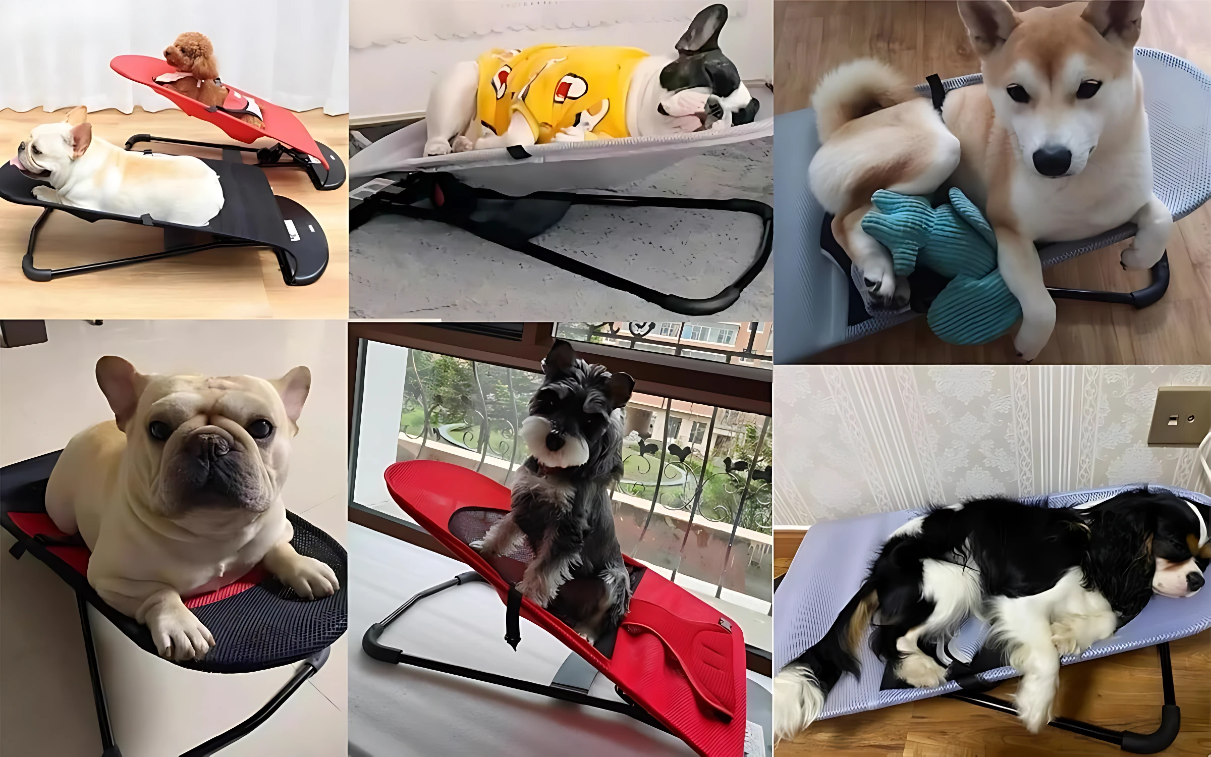 Silla mecedora para perros en colores rojo, negro y azul, con cinturón de seguridad integrado. Perros de diversas razas descansan cómodamente sobre la superficie acolchada, mostrando su uso principal en interiores.