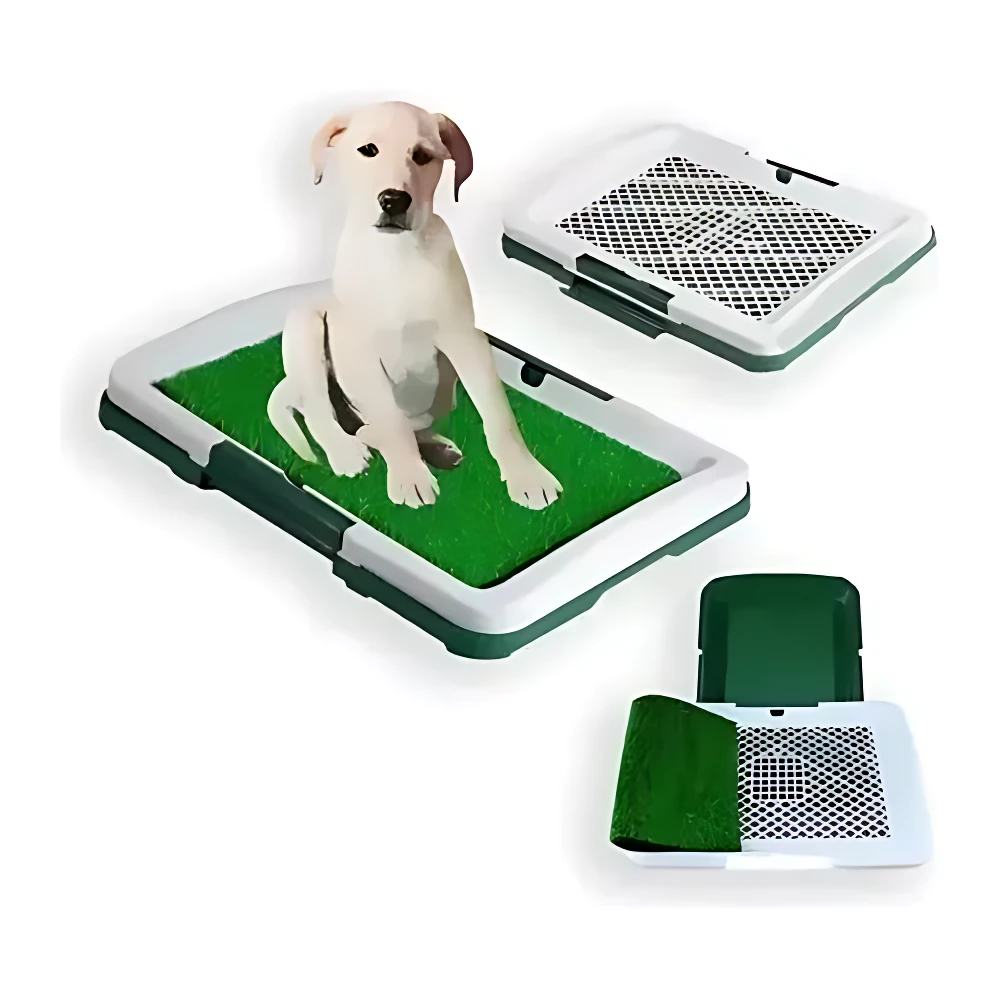 Tapete entrenador para cachorros con sistema de drenaje, mostrando variante con base verde y rejilla blanca, en uso con perro sentado.
