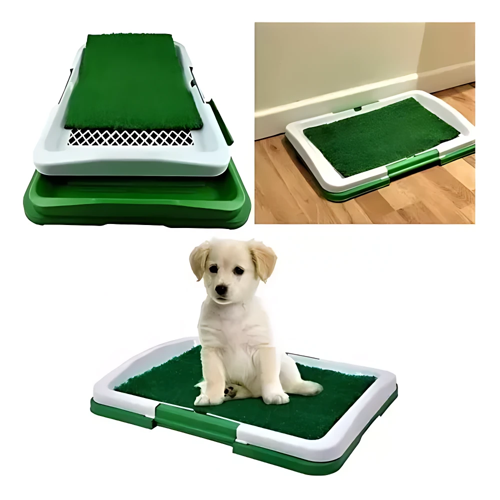 Tapete entrenador para cachorros en verde con sistema de drenaje, mostrando vista superior, uso en piso y cachorro sentado sobre él.
