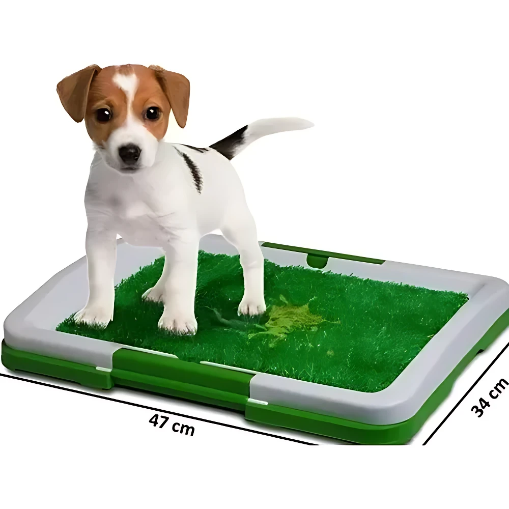 Tapete entrenador para cachorros con sistema de drenaje, color verde y blanco, dimensiones 47 x 34 cm, con césped artificial y pata de perro sobre él.