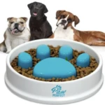 Comedero antirreflujo blanco con diseño de huella azul, lleno de pien, rodeado por tres perros de razas distintas.