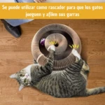 Rascador para Gatos Órgano Mágico Juguet - Imagen 5