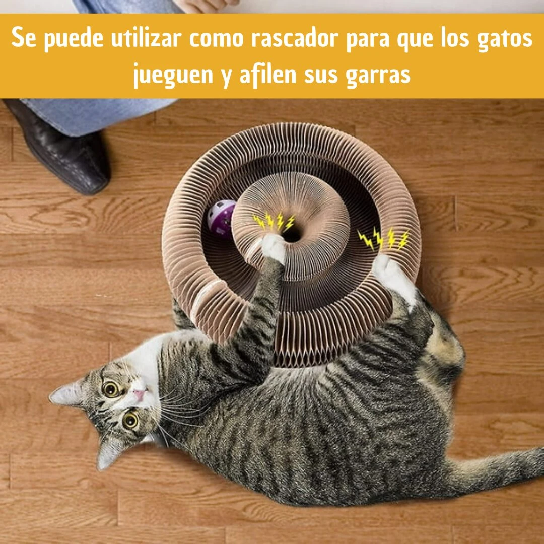 Gato tabby interactuando con rascador circular de corcho, con bola giratoria en el centro, sobre piso de madera.
