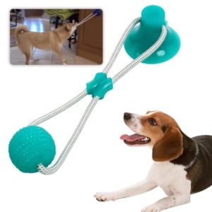 Ejercitador de mandíbula para perros con goma y nylon, color turquesa, con bola texturizada y anillo de succión. Incluye inserto de goma para morder.