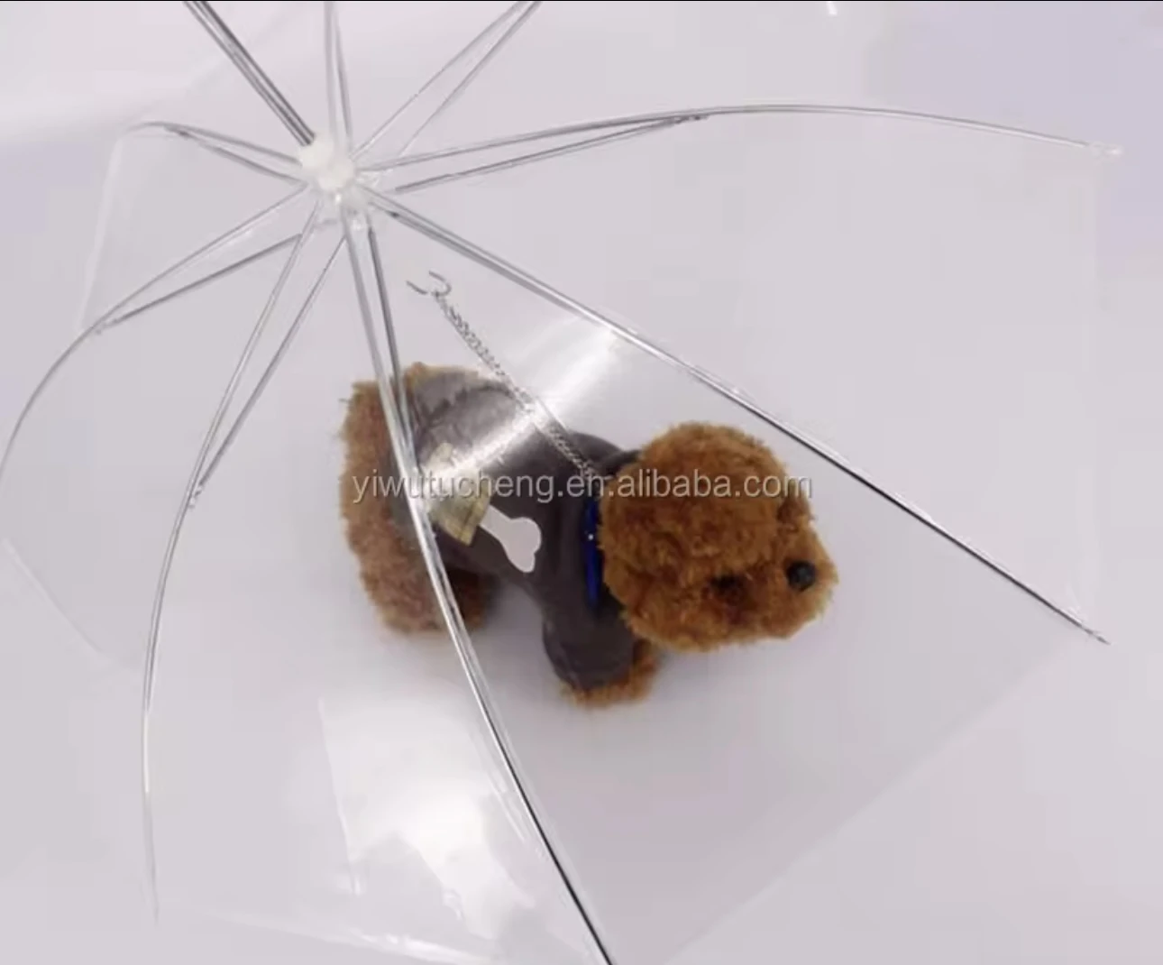 Sombrilla transparente para mascotas con perro marrón dentro, vista desde arriba, mostrando estructura metálica y tela clara.