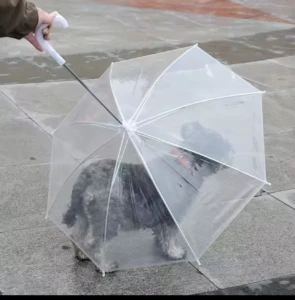 Sombrilla transparente para mascotas con mango ergonómico, mostrando a un perro gris bajo su protección en pavimento húmedo.