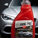 Cleaning Pro X2