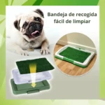 Tapete Pequeño Mascotas 47X34Cm - Imagen 2