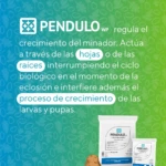 Pendulo Wp Insecticida (Avgust) - Imagen 2