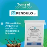 Pendulo Wp Insecticida (Avgust) - Imagen 5