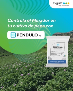 Péndulo WP Insecticida Sistémico con Ciromazina para Control de Minadores - Protege cultivos de papa tomate y hortalizas contra plagas