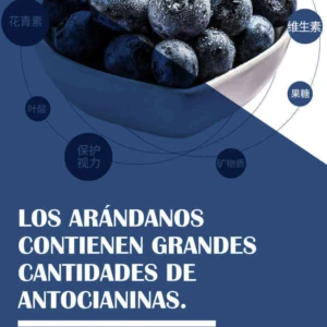 Suplemento de Arándano Rojo con Vitamina C - Protege las vías urinarias y aporta antioxidantes