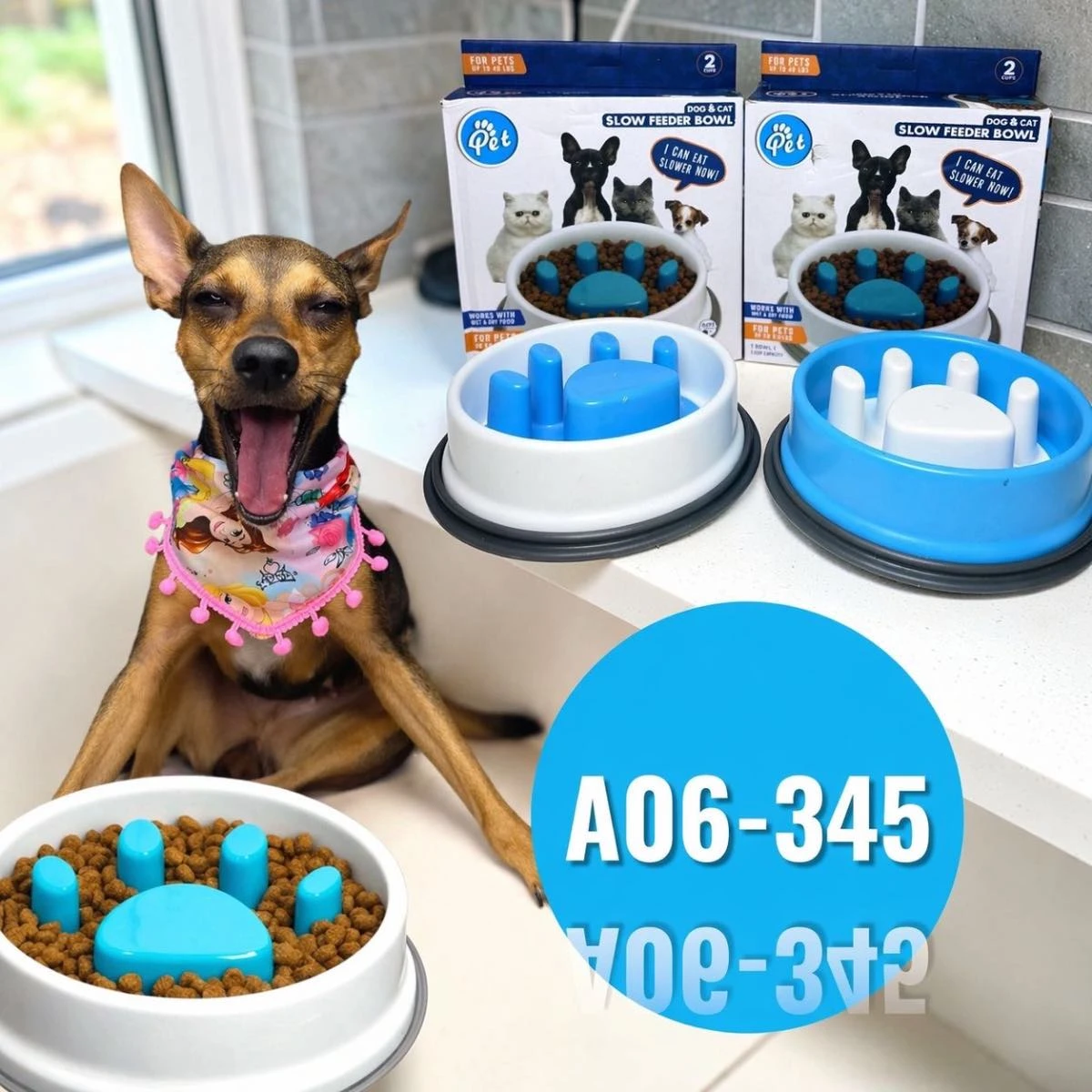 Comedero antirreflujo para perros y gatos, modelo A06-345, con diseño de huella azul y base blanca, acompañado de su variante en azul sólido, ambos sobre superficie blanca con perro al fondo.