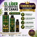 Pack de tres productos de la marca Dinar Chao Canas: champú 400 ml, activador 120 ml y otro activador 27 ml, todos con diseño verde y dorado, sobre pedestal blanco, con textos destacados como “Cubre tus canas desde la primera aplicación” y “Natural”.
